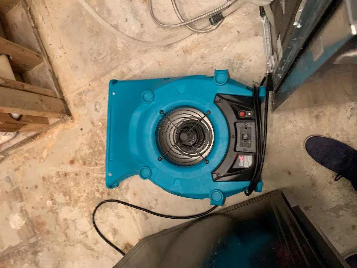 Air mover drying equipment for Mold Remediation & Removal in Vail